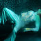 SASHA-SLG-1362468-copie.jpg